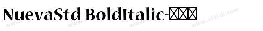 NuevaStd BoldItalic字体转换